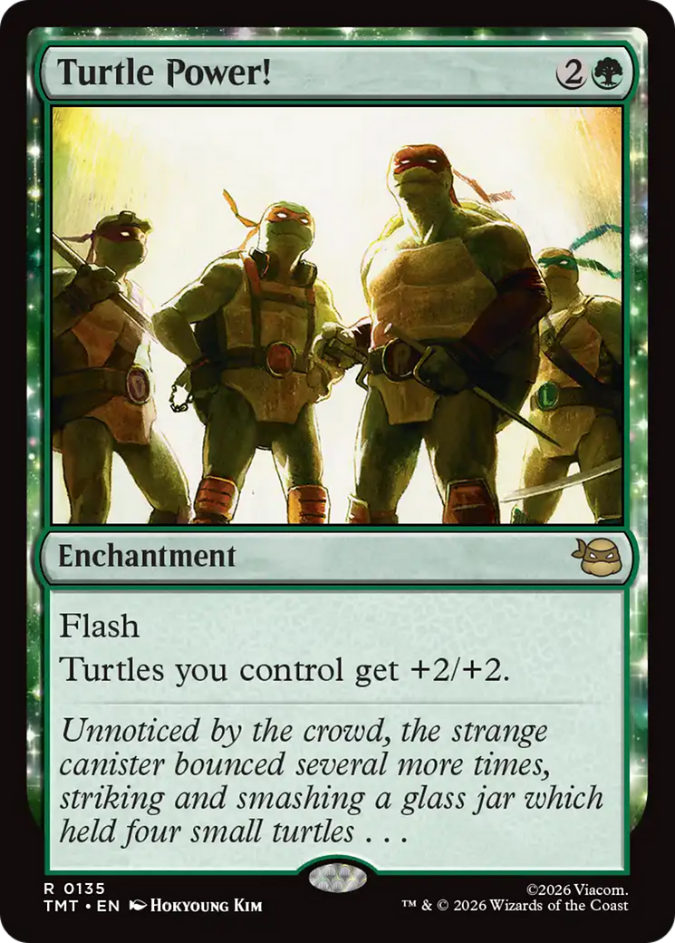 Turtle Power! [Teenage Mutant Ninja Turtles] | Deep Dive Games St. Marys