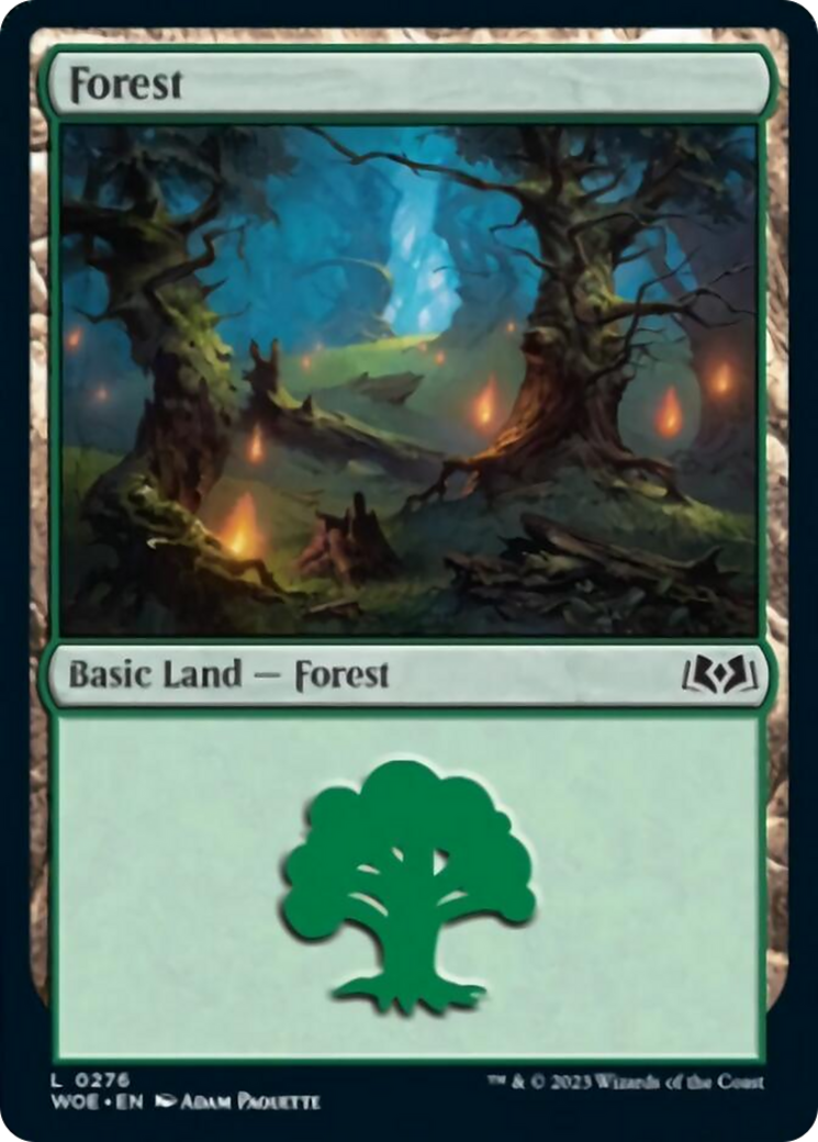 Forest (0276) [Wilds of Eldraine] | Deep Dive Games St. Marys