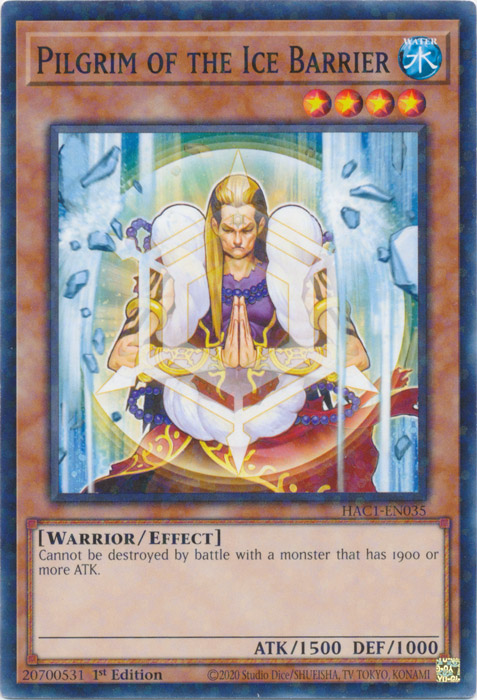 Pilgrim of the Ice Barrier (Duel Terminal) [HAC1-EN035] Common | Deep Dive Games St. Marys