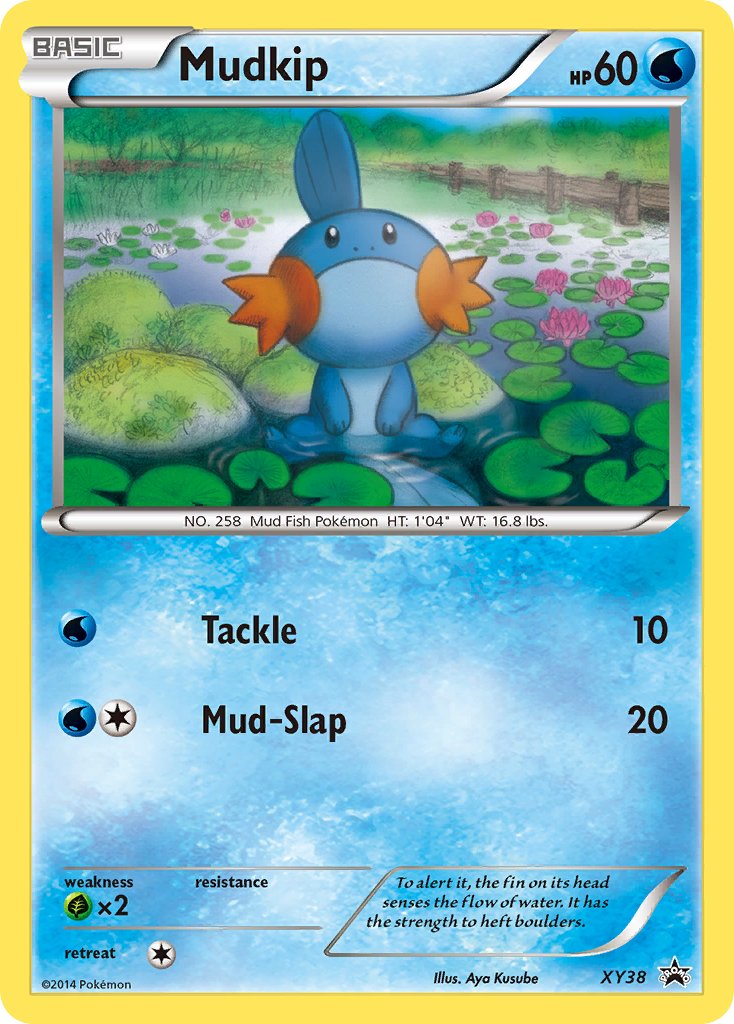Mudkip (XY38) [XY: Black Star Promos] | Deep Dive Games St. Marys