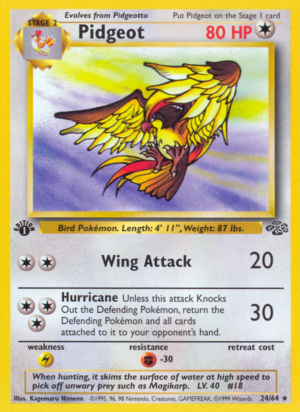 Pidgeot (24/64) [Jungle 1st Edition] | Deep Dive Games St. Marys