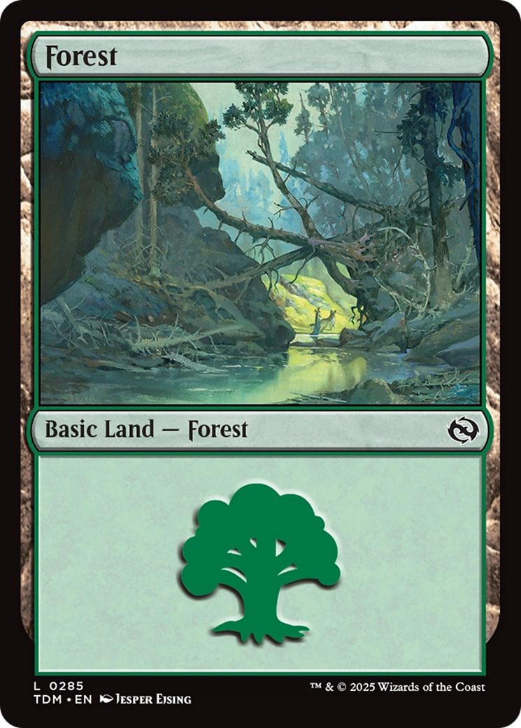 Forest (0285) [Tarkir: Dragonstorm] | Deep Dive Games St. Marys