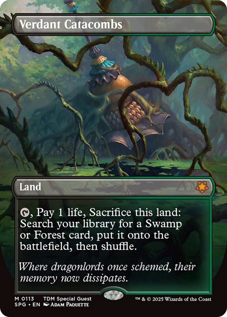 Verdant Catacombs (Borderless) [Tarkir: Dragonstorm Special Guests] | Deep Dive Games St. Marys