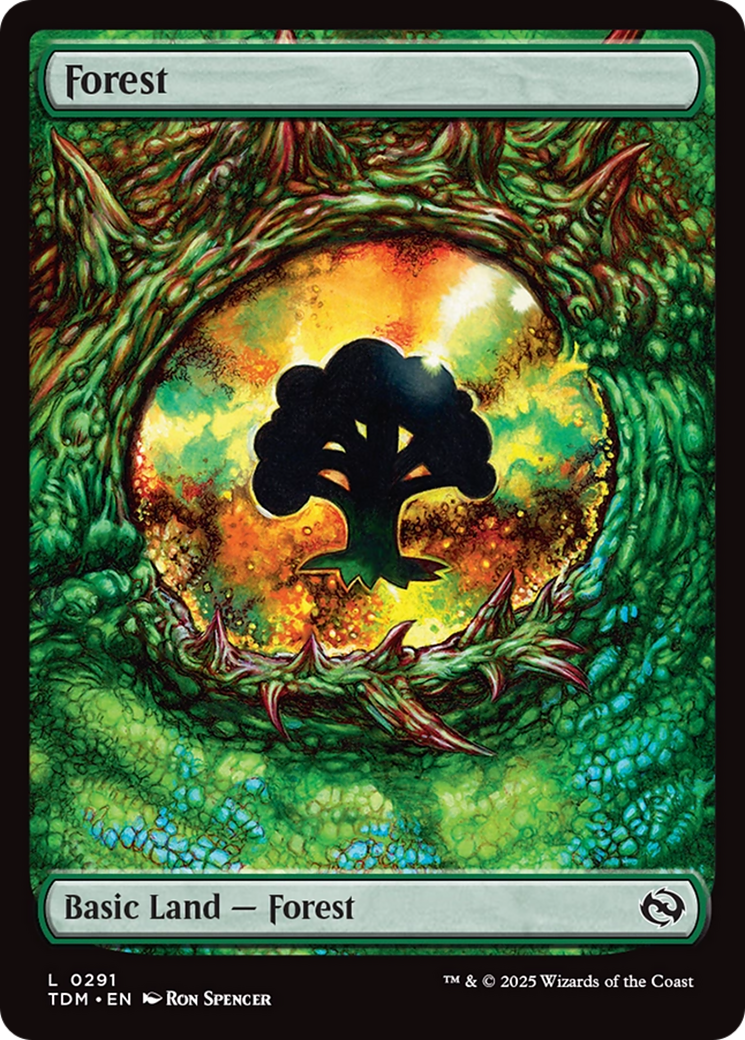 Forest (0291) [Tarkir: Dragonstorm] | Deep Dive Games St. Marys
