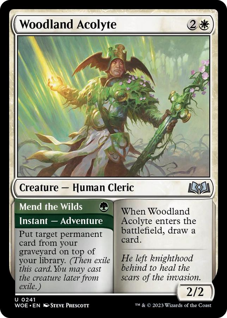 Woodland Acolyte // Mend the Wilds [Wilds of Eldraine] | Deep Dive Games St. Marys