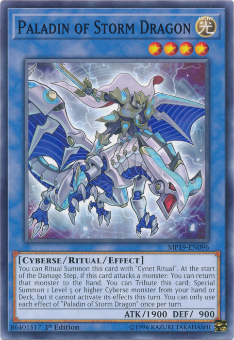 Paladin of Storm Dragon [MP19-EN096] Common | Deep Dive Games St. Marys