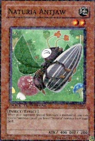 Naturia Antjaw [DT02-EN069] Common | Deep Dive Games St. Marys