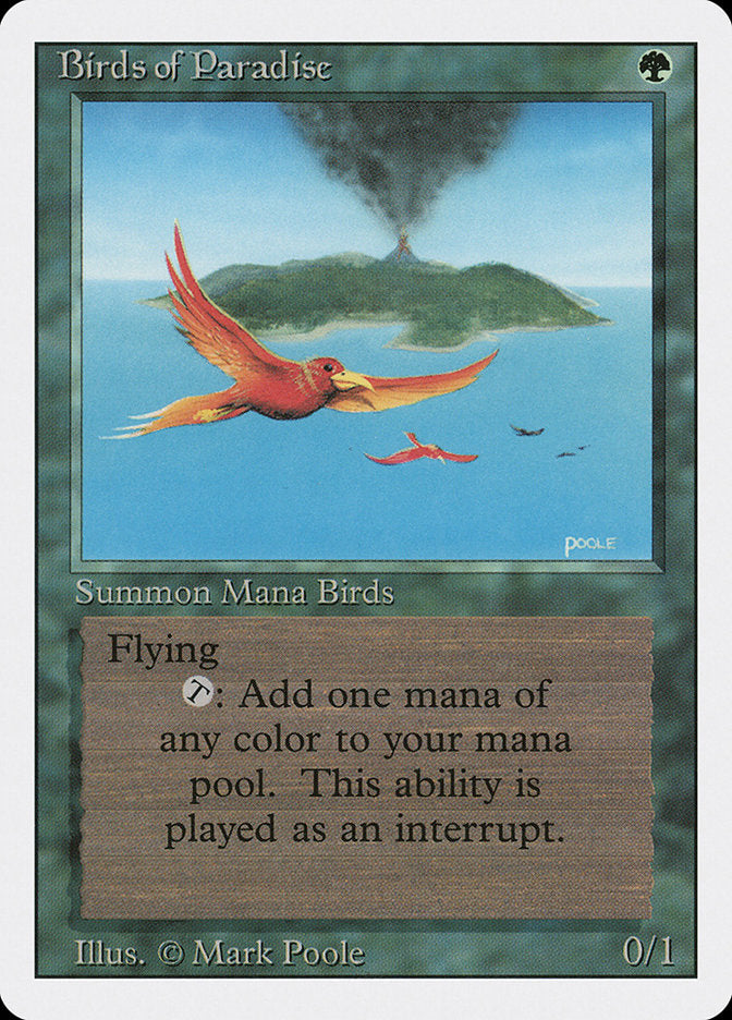 Birds of Paradise [Revised Edition] | Deep Dive Games St. Marys