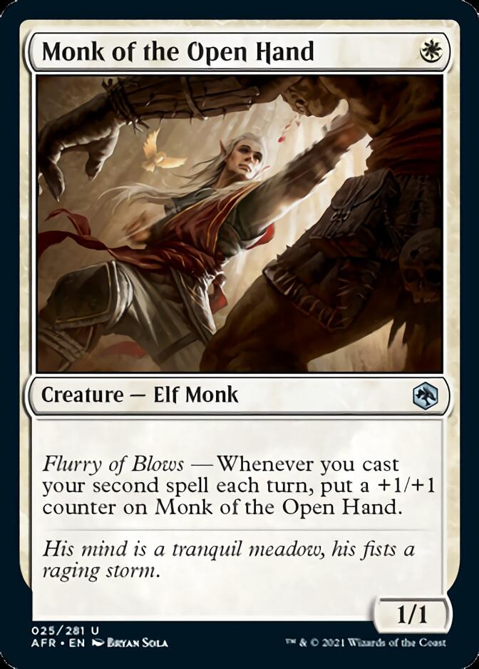Monk of the Open Hand [Dungeons & Dragons: Adventures in the Forgotten Realms] | Deep Dive Games St. Marys