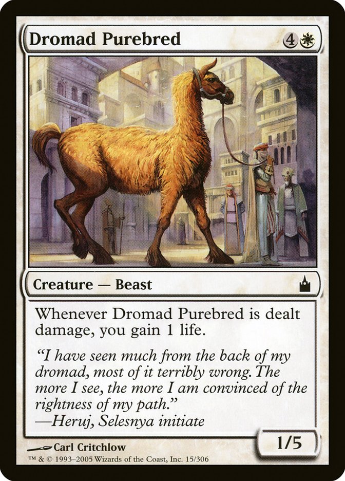 Dromad Purebred [Ravnica: City of Guilds] | Deep Dive Games St. Marys