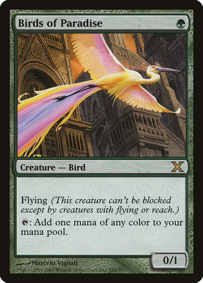 Birds of Paradise [Tenth Edition] | Deep Dive Games St. Marys
