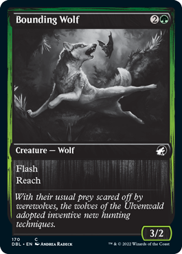 Bounding Wolf [Innistrad: Double Feature] | Deep Dive Games St. Marys