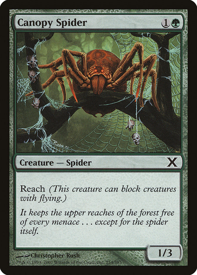 Canopy Spider [Tenth Edition] | Deep Dive Games St. Marys