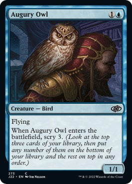 Augury Owl [Jumpstart 2022] | Deep Dive Games St. Marys