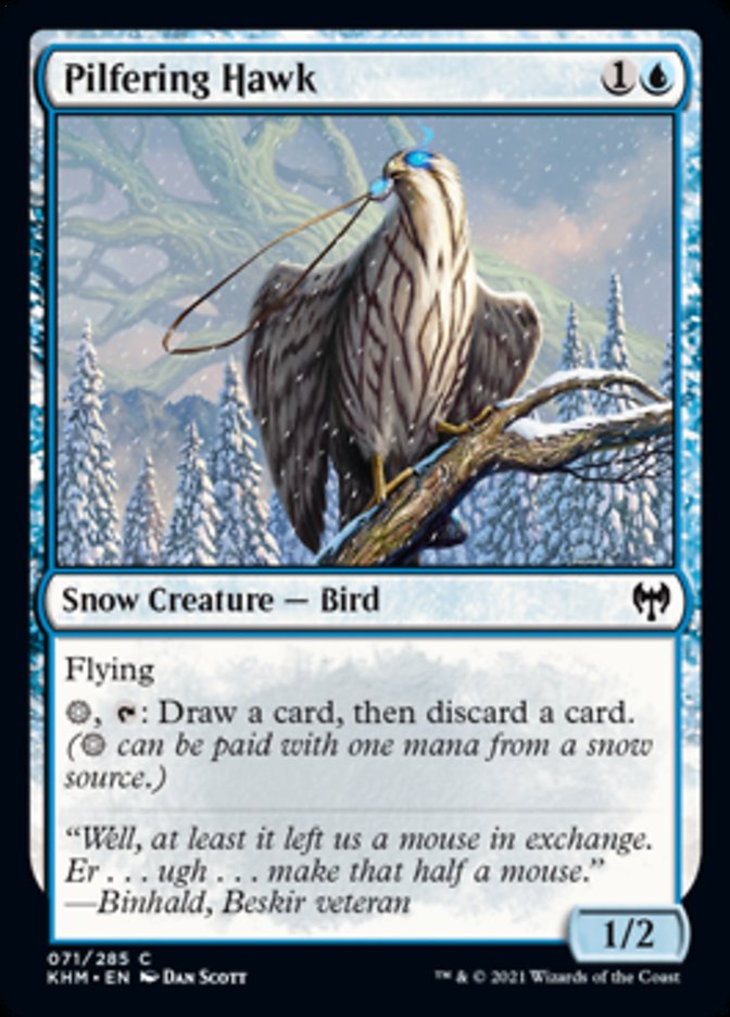 Pilfering Hawk [Kaldheim] | Deep Dive Games St. Marys