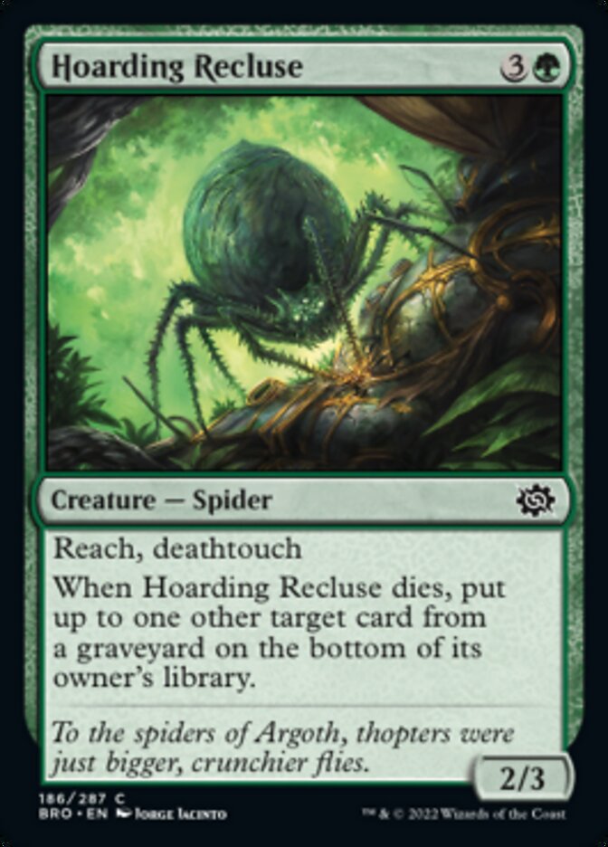 Hoarding Recluse [The Brothers' War] | Deep Dive Games St. Marys