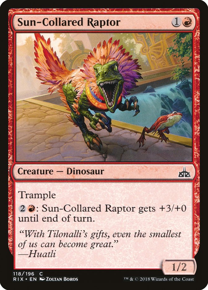Sun-Collared Raptor [Rivals of Ixalan] | Deep Dive Games St. Marys