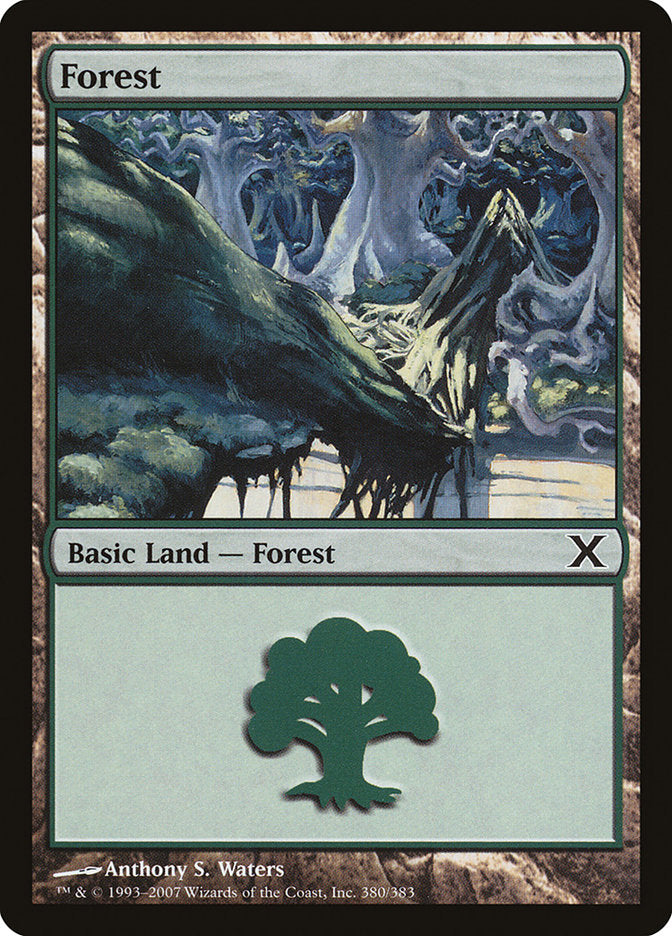 Forest (380) [Tenth Edition] | Deep Dive Games St. Marys