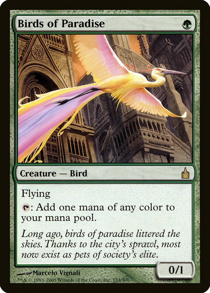 Birds of Paradise [Ravnica: City of Guilds] | Deep Dive Games St. Marys