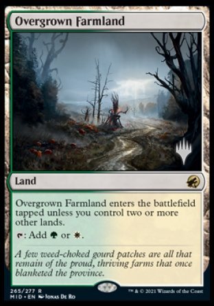 Overgrown Farmland (Promo Pack) [Innistrad: Midnight Hunt Promos] | Deep Dive Games St. Marys