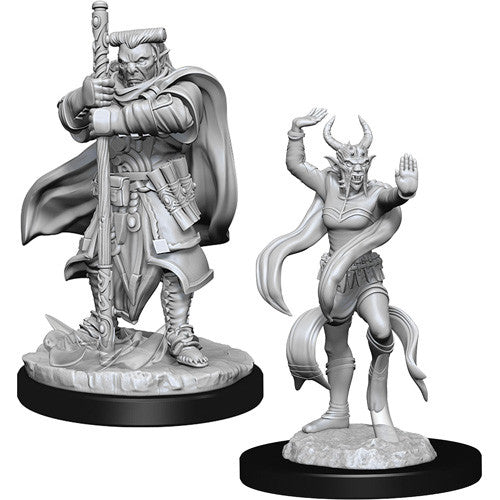 D&D Nolzur's Marvelous Unpainted Minis: W13 Hobgoblin Devastator & Iron Shadow | Deep Dive Games St. Marys