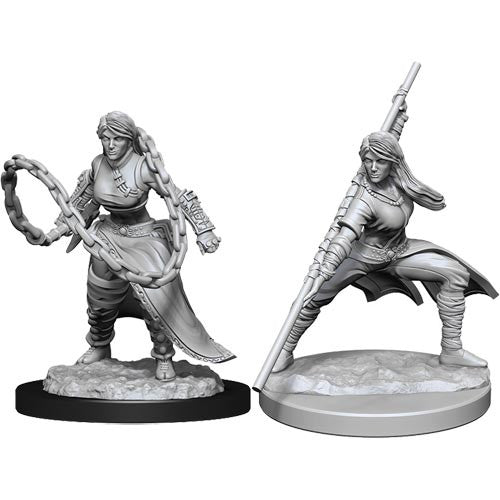 Wizkids Human Monk Female | Deep Dive Games St. Marys