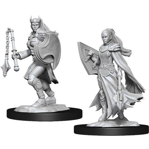 Wizkids Kalashtar Cleric Female | Deep Dive Games St. Marys