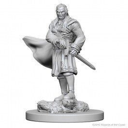D&D Nolzur's Marvelous Unpainted Minis: Vampires | Deep Dive Games St. Marys