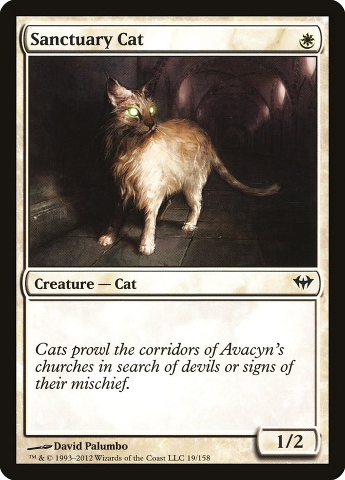Sanctuary Cat [Dark Ascension] | Deep Dive Games St. Marys